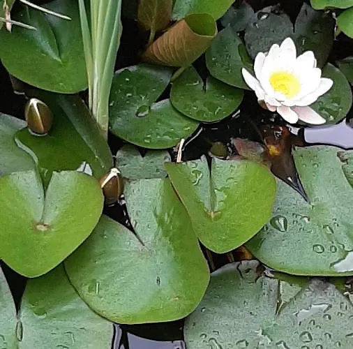 Ferienapartement Stuermer Nordhausen