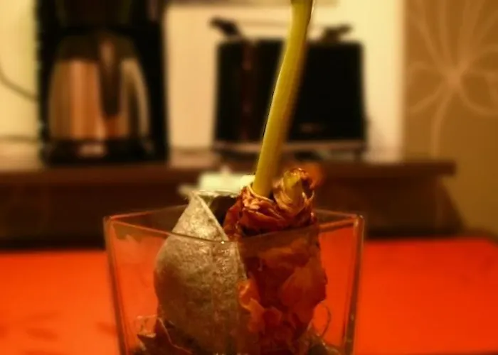 Ferienapartement Stuermer