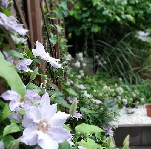 Ferienapartement Stuermer * Nordhausen